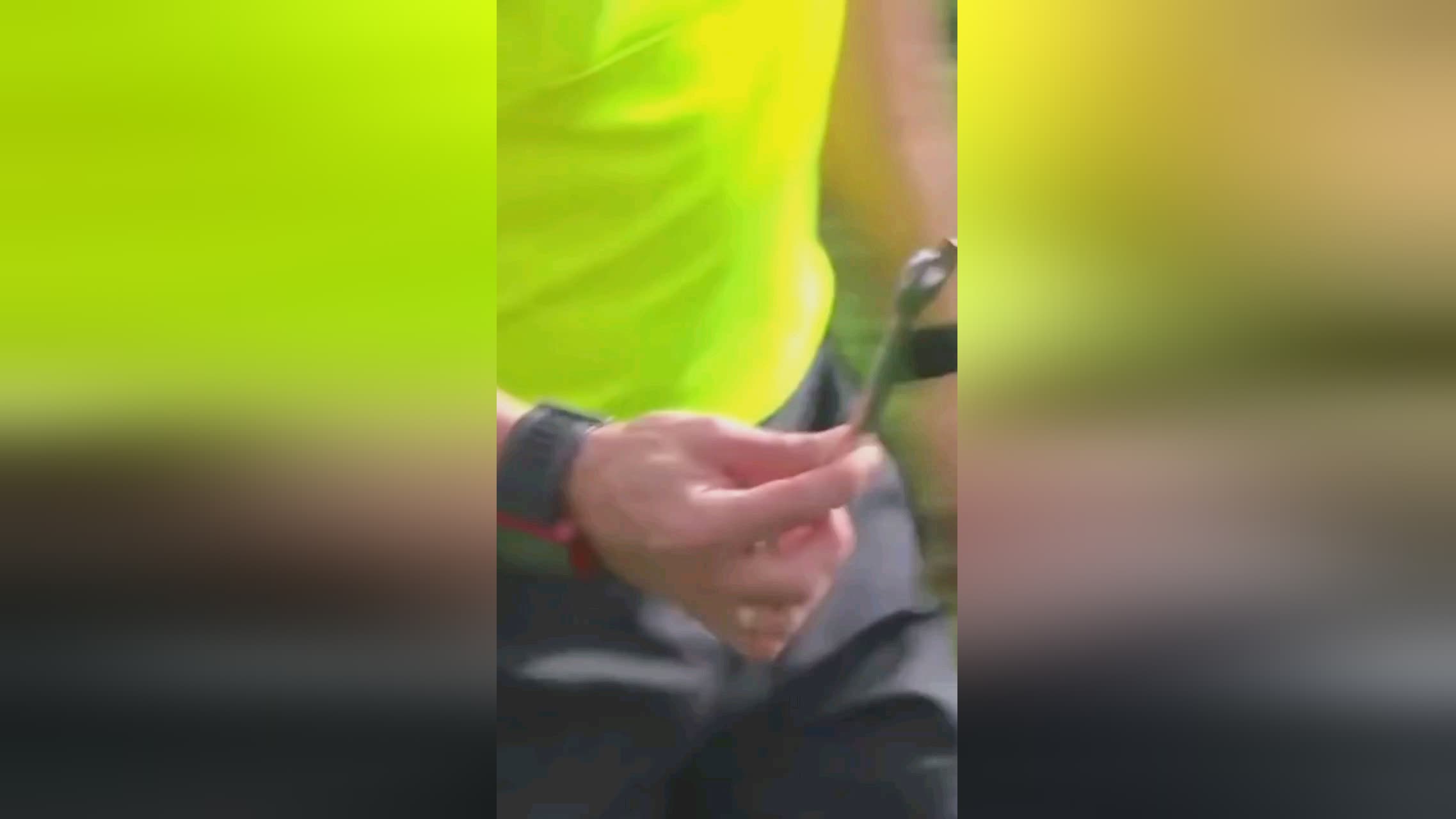变化的作